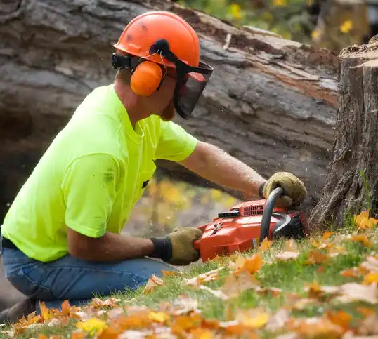 tree services Simpson